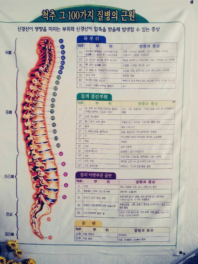 포토갤러리